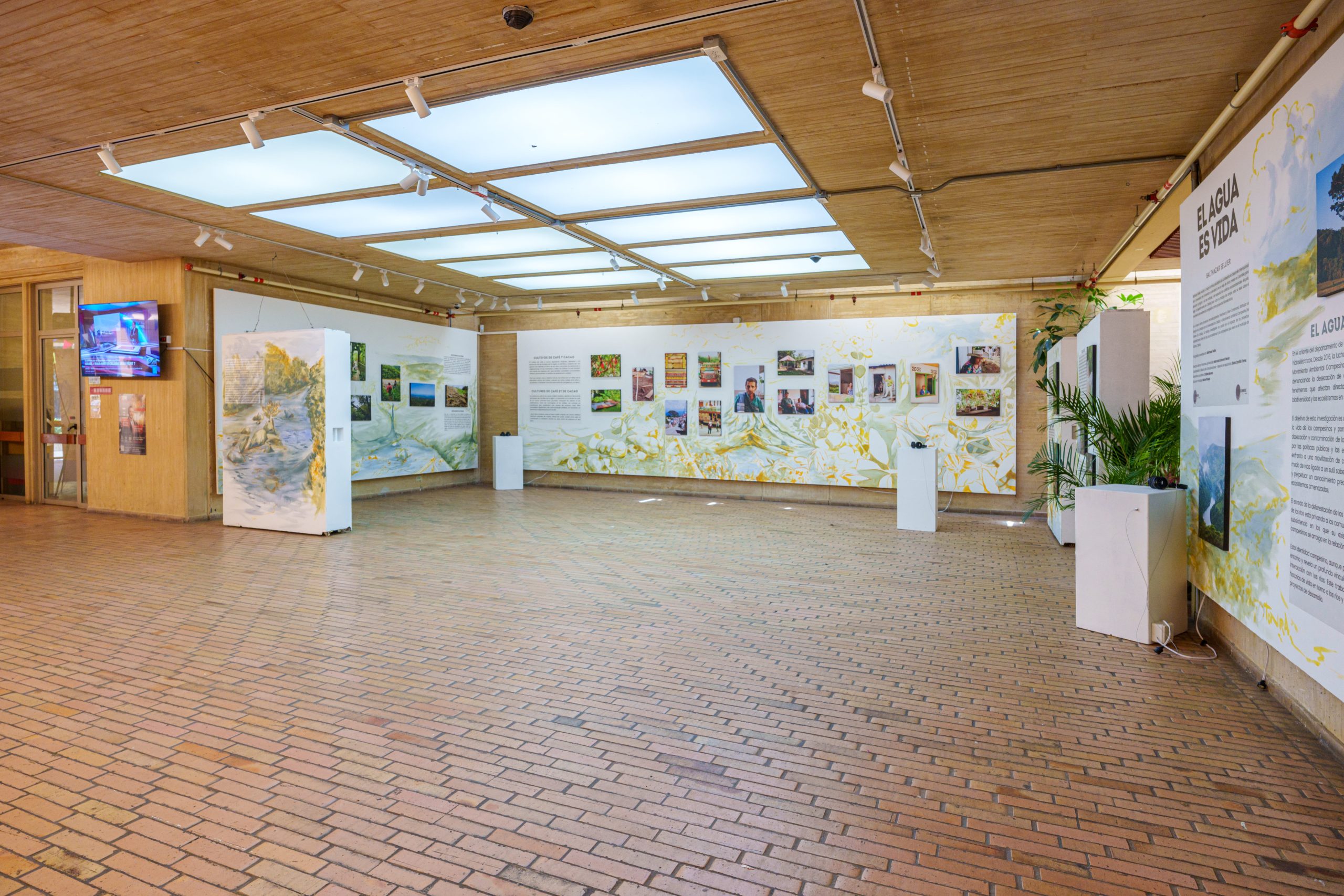 Galeria 1